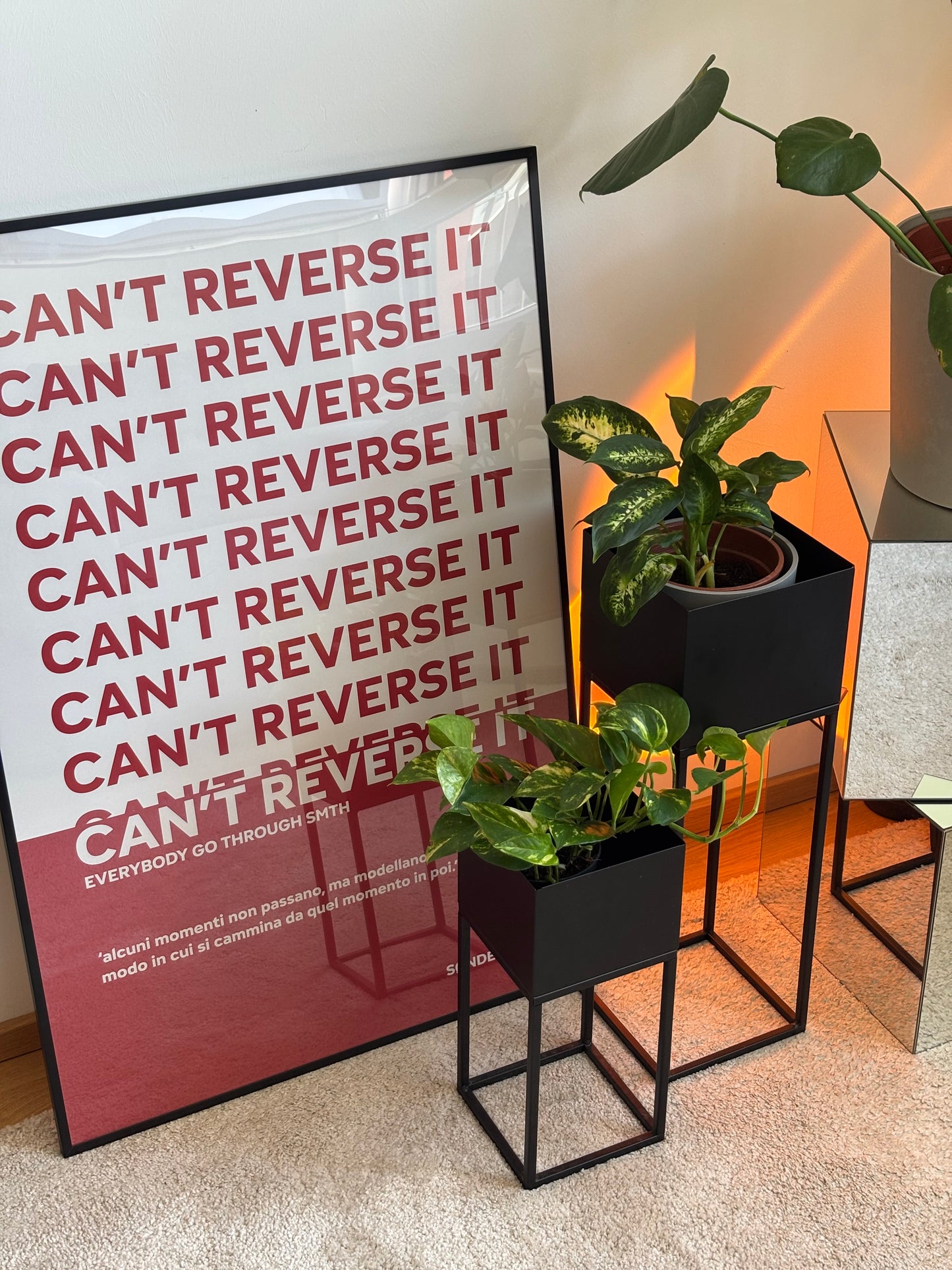 CAN'T REVERSE IT